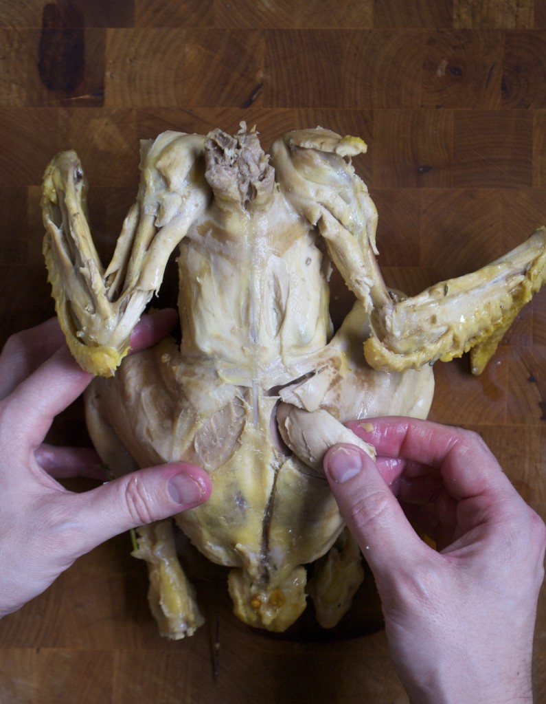 Bag på ryggen af kyllingen sidder der et lækkert stykke kød, som kaldes for chicken oyster