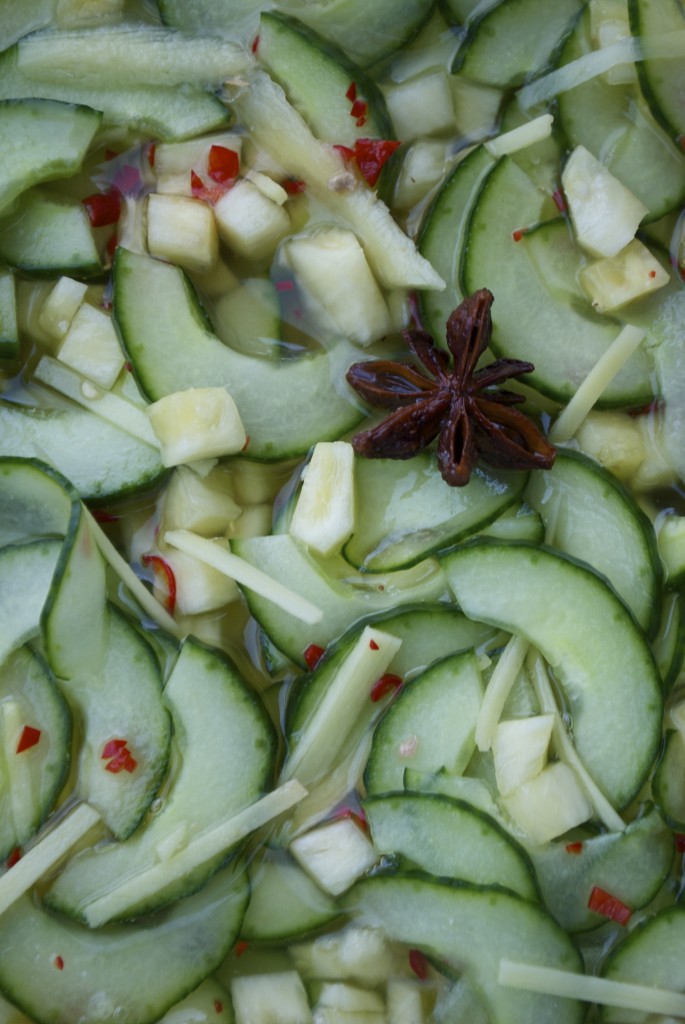 Blomsterhonning fra Bidronningen passer perfekt til en spicy agurkesalat. Prøv denne opskrift på rigtige satay med kylling.